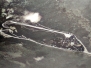 1974, October - South China Sea