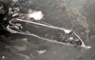 08.c