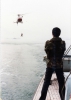 138. Steady Hand of Johnson Tsui Are Waiting.